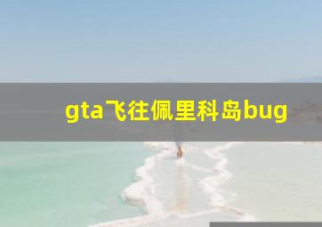 gta飞往佩里科岛bug