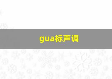 gua标声调