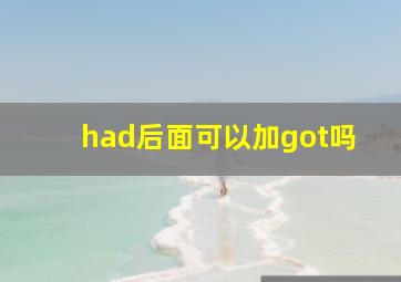 had后面可以加got吗