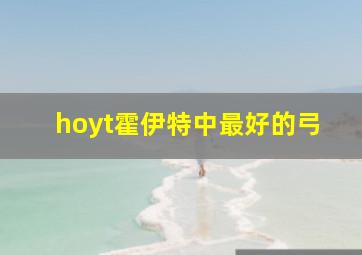 hoyt霍伊特中最好的弓