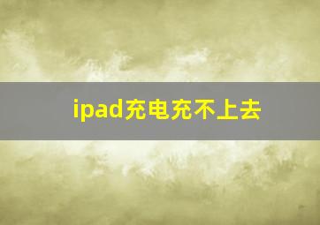 ipad充电充不上去