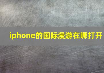 iphone的国际漫游在哪打开