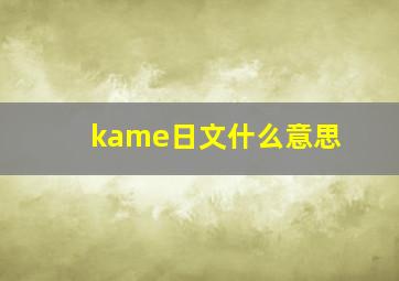 kame日文什么意思