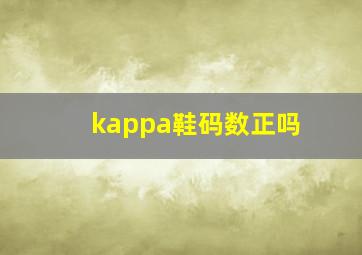 kappa鞋码数正吗