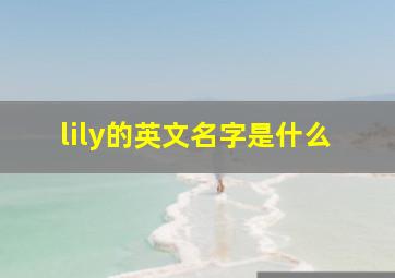 lily的英文名字是什么