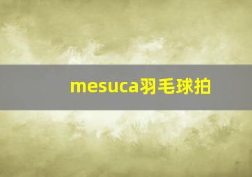 mesuca羽毛球拍