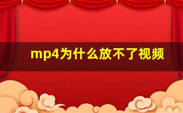 mp4为什么放不了视频