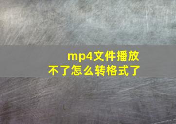 mp4文件播放不了怎么转格式了