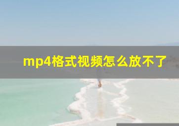 mp4格式视频怎么放不了