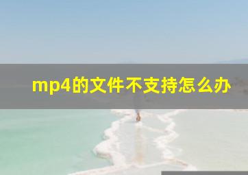 mp4的文件不支持怎么办