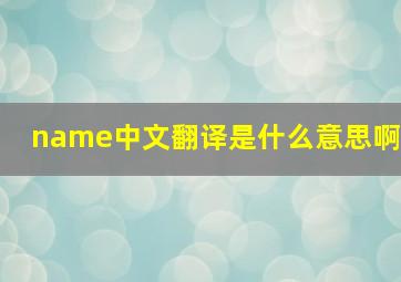 name中文翻译是什么意思啊