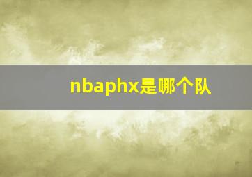 nbaphx是哪个队