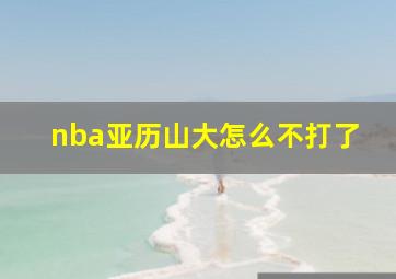 nba亚历山大怎么不打了