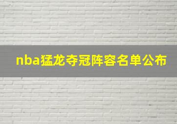 nba猛龙夺冠阵容名单公布