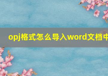 opj格式怎么导入word文档中