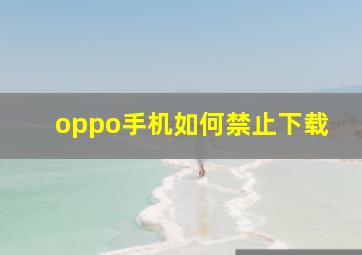 oppo手机如何禁止下载