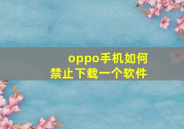 oppo手机如何禁止下载一个软件