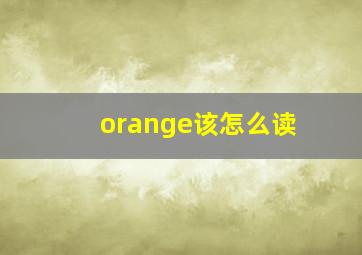 orange该怎么读