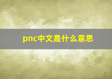 pnc中文是什么意思