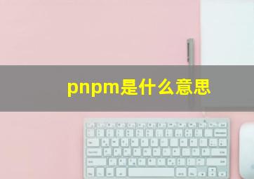 pnpm是什么意思