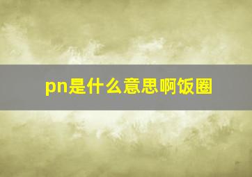 pn是什么意思啊饭圈