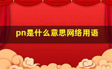 pn是什么意思网络用语