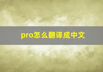 pro怎么翻译成中文