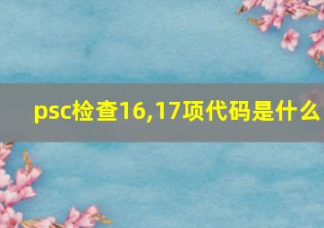 psc检查16,17项代码是什么