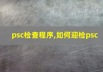 psc检查程序,如何迎检psc