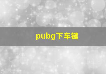 pubg下车键