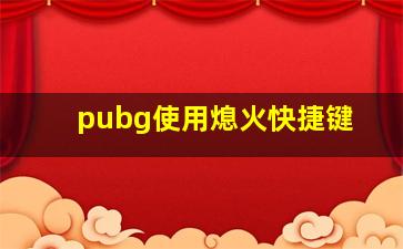 pubg使用熄火快捷键