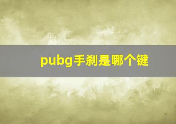 pubg手刹是哪个键