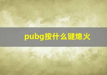 pubg按什么键熄火