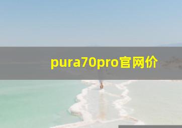 pura70pro官网价