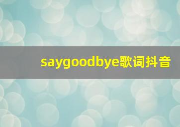 saygoodbye歌词抖音