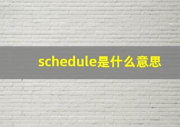 schedule是什么意思