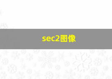 sec2图像