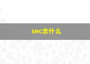 sec念什么