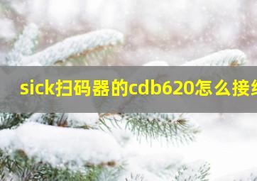 sick扫码器的cdb620怎么接线