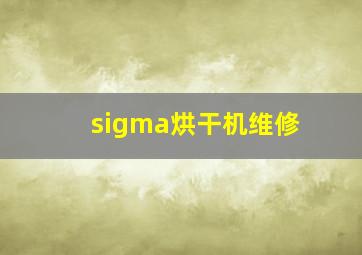 sigma烘干机维修