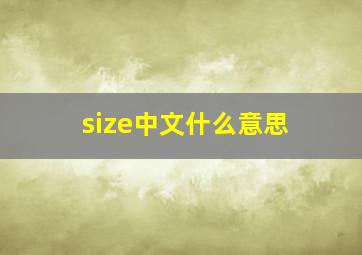 size中文什么意思