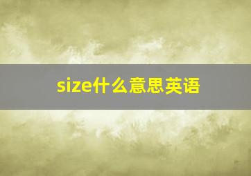 size什么意思英语