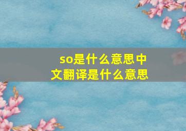 so是什么意思中文翻译是什么意思