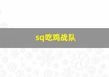 sq吃鸡战队