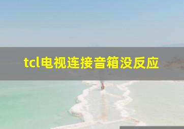 tcl电视连接音箱没反应