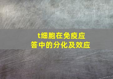 t细胞在免疫应答中的分化及效应