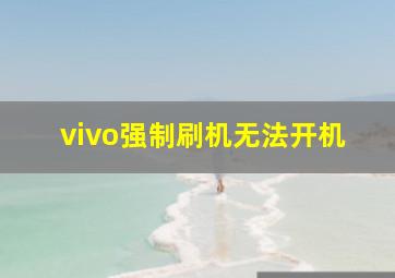 vivo强制刷机无法开机