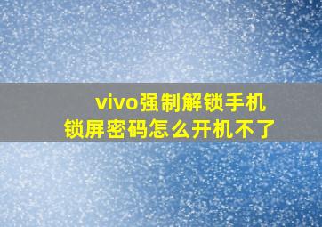 vivo强制解锁手机锁屏密码怎么开机不了