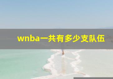 wnba一共有多少支队伍