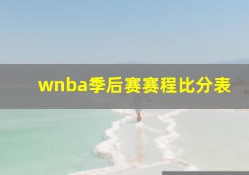 wnba季后赛赛程比分表